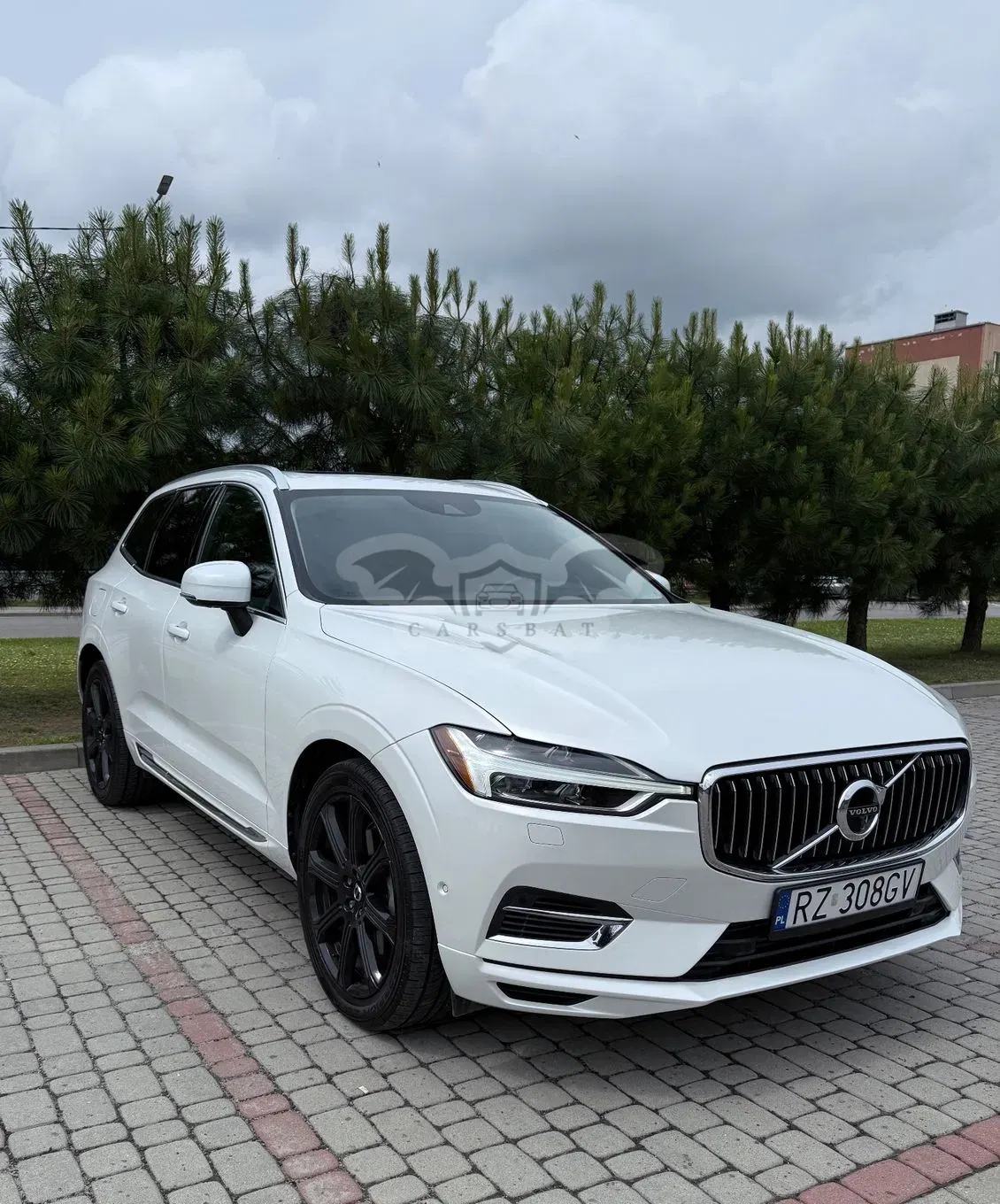 Volvo XC60 II (2017-) 2019