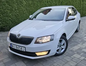 Skoda Octavia III (2013-) 1.6 TDI Ambition 2013