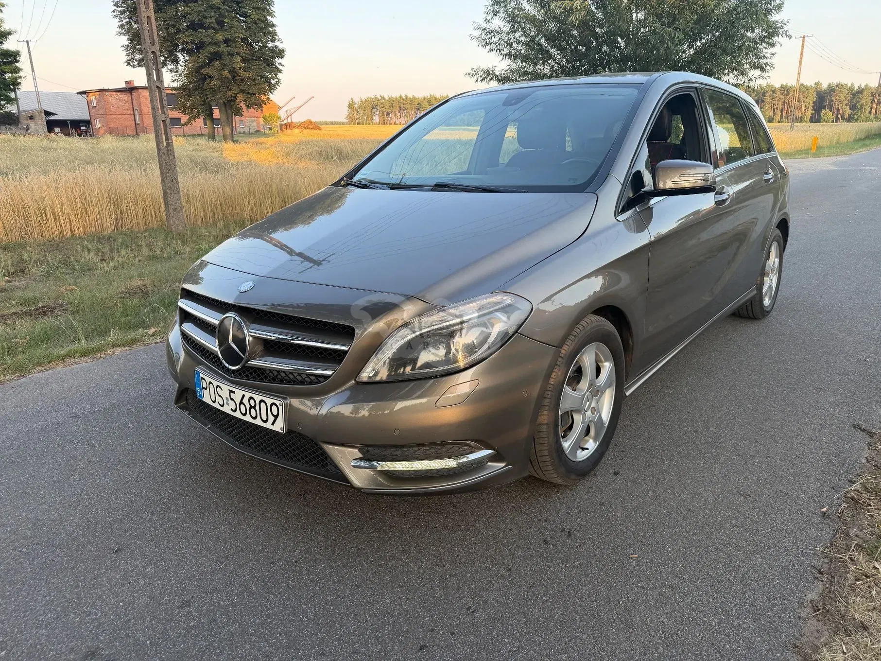 Mercedes-Benz B W246 (2011-2018) 2013