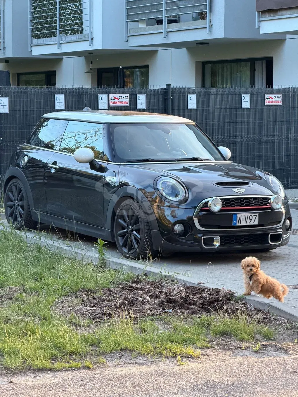 Mini Cooper Standard 2015