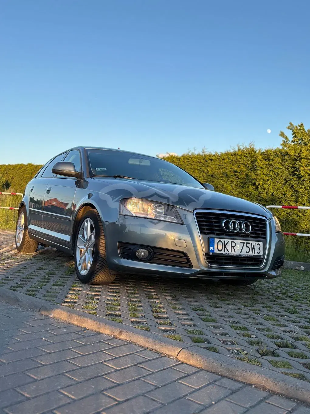 Audi A3 8P (2003-2012) 2.0 TDI Ambition 2009
