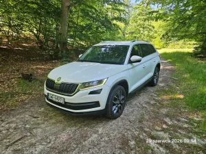 Skoda Kodiaq I (2016-2024) 2.0 TDI 4x4 Style DSG 2017