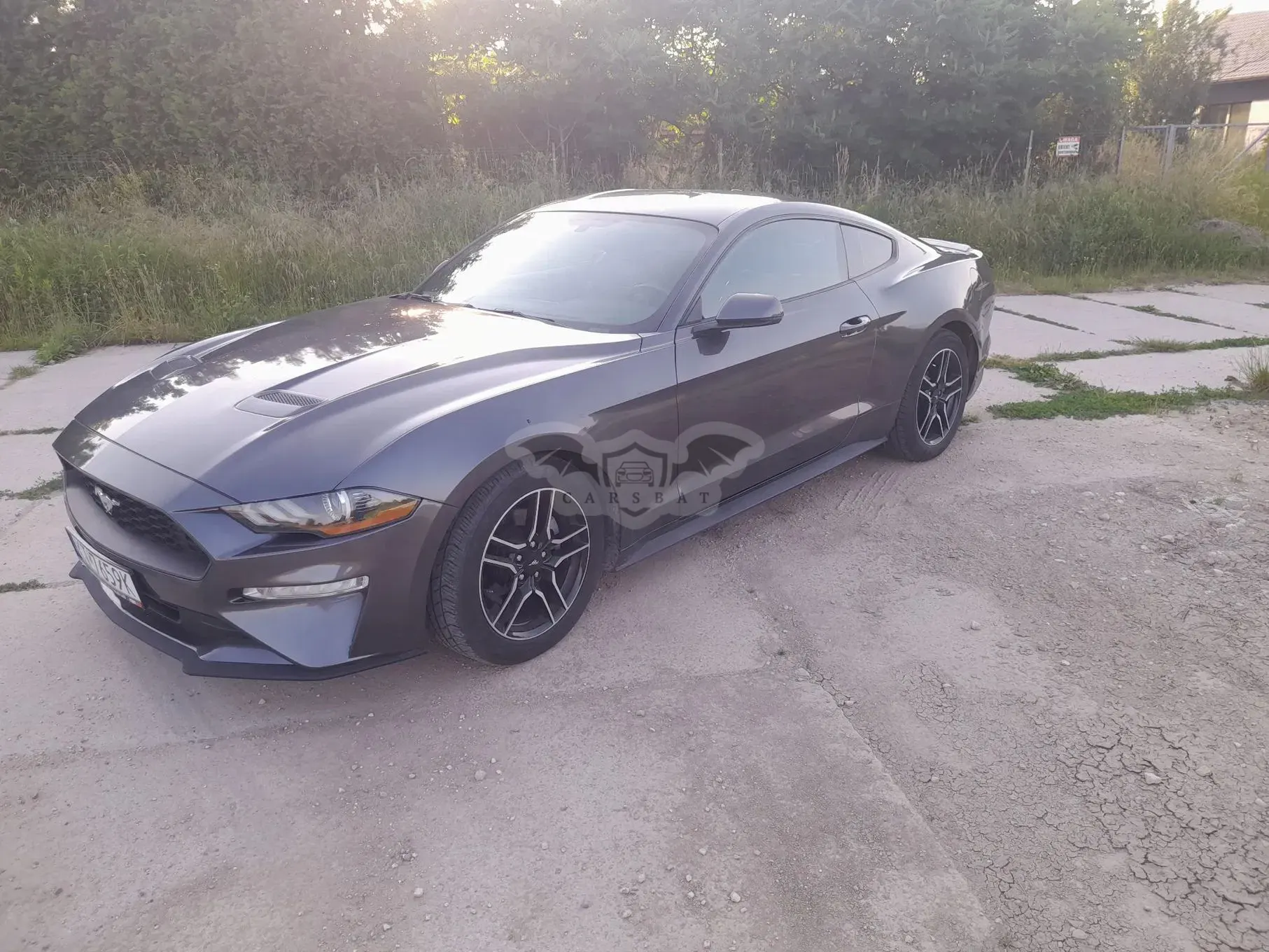 Ford Mustang 2019