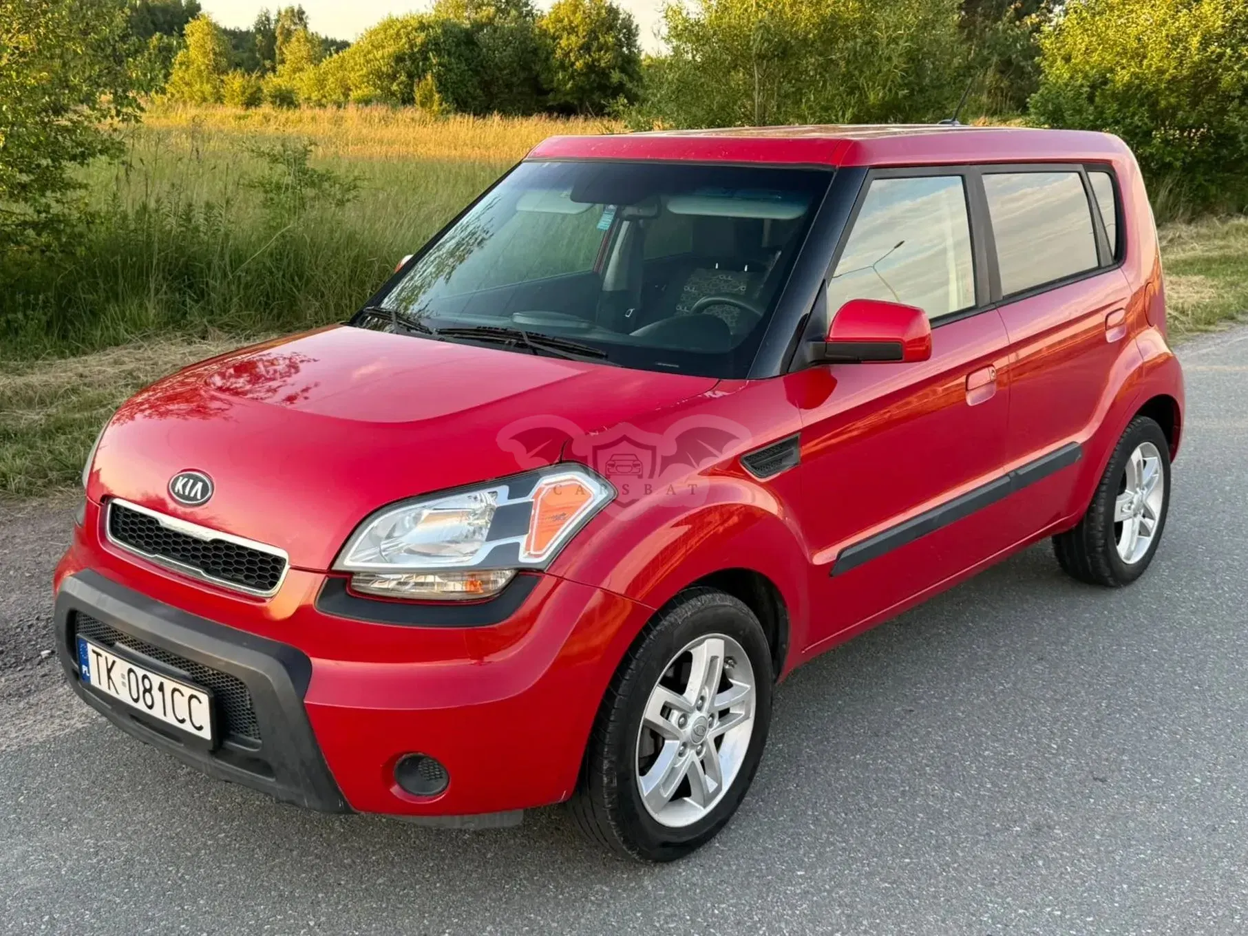 Kia Soul I (2009-2014) 2010