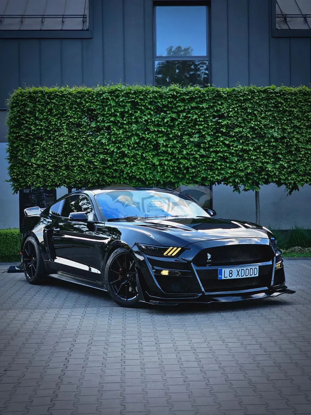 Ford Mustang 5.0 V8 GT 2015