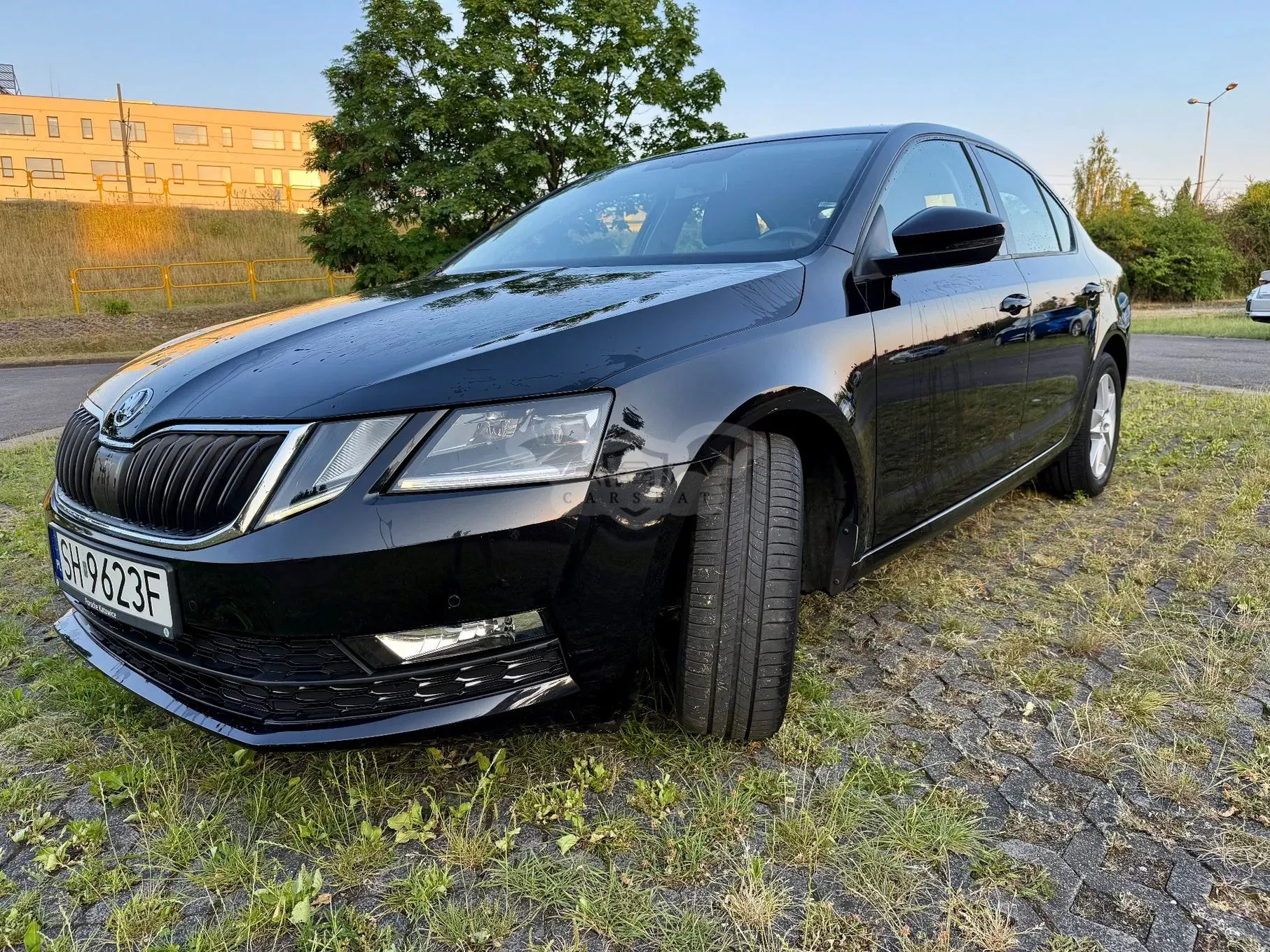 Skoda Octavia III (2013-) 1.0 TSI GPF Ambition 2019