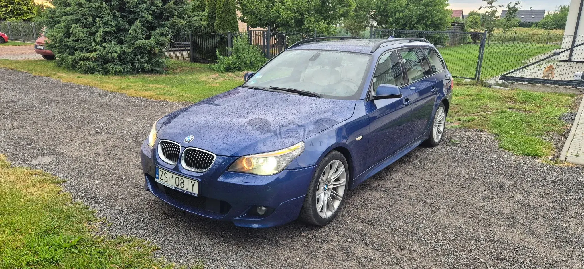 BMW 5 Series E60/E61 (2003-2010) 2010