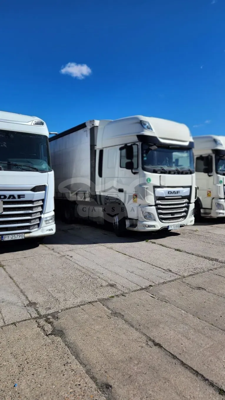 DAF XF 2019