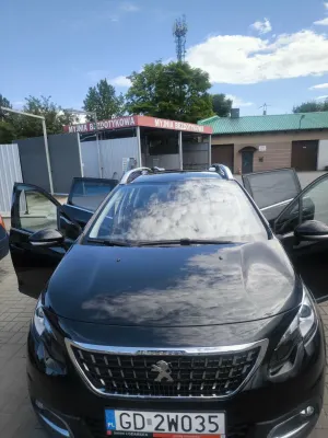 Peugeot 2008 II (2019-) 1.2 PureTech Active S&S 2019