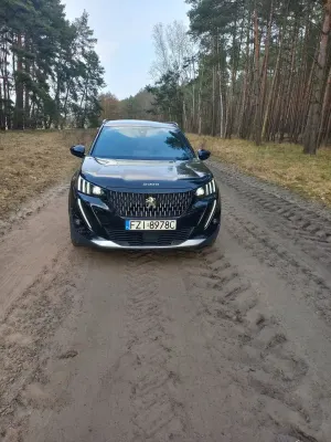 Peugeot 2008 II (2019-) 1.5 BlueHDi GT Line S&S EAT8 2020