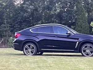 BMW X6 F16 (2014-) xDrive30d 2014