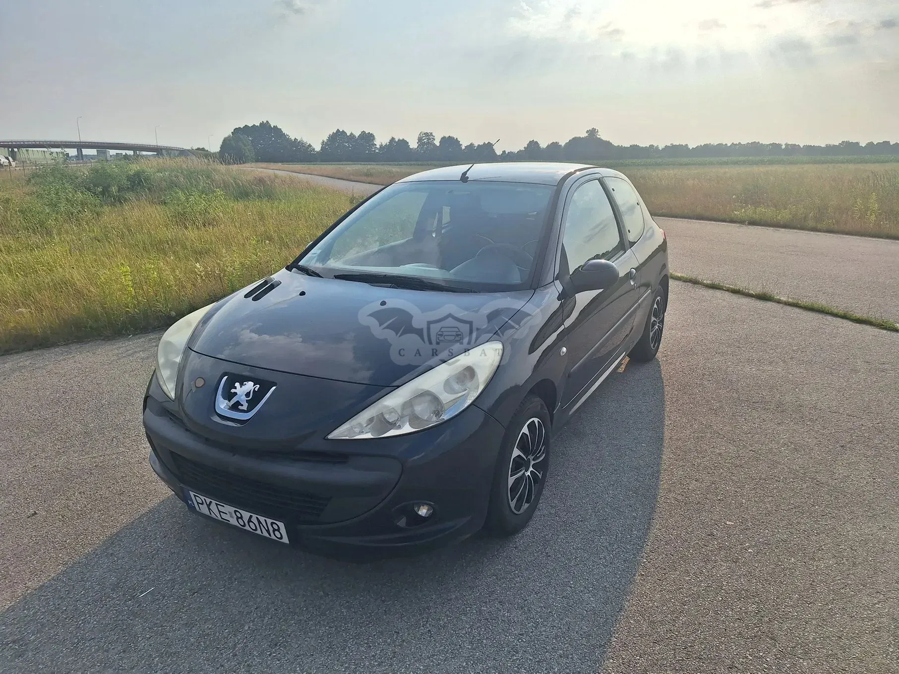 Peugeot 206 2011