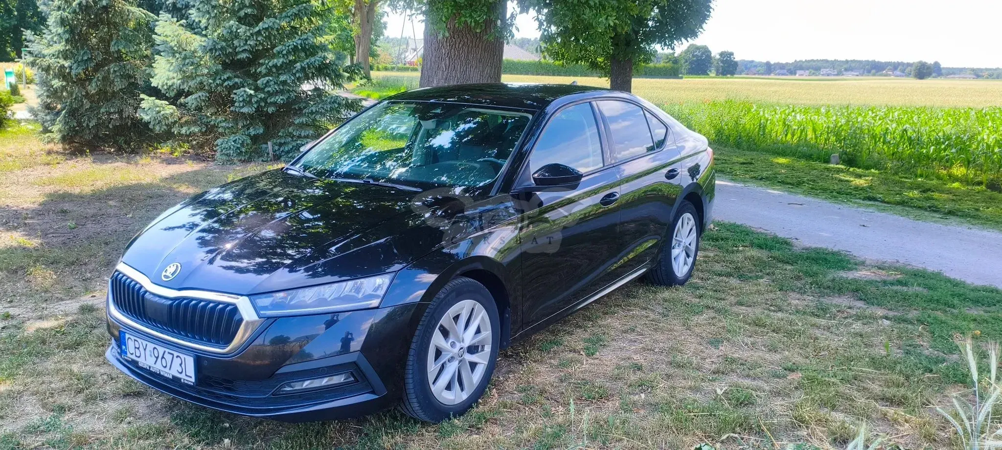 Skoda Octavia IV (2020-) 2.0 TDI Ambition DSG 2020