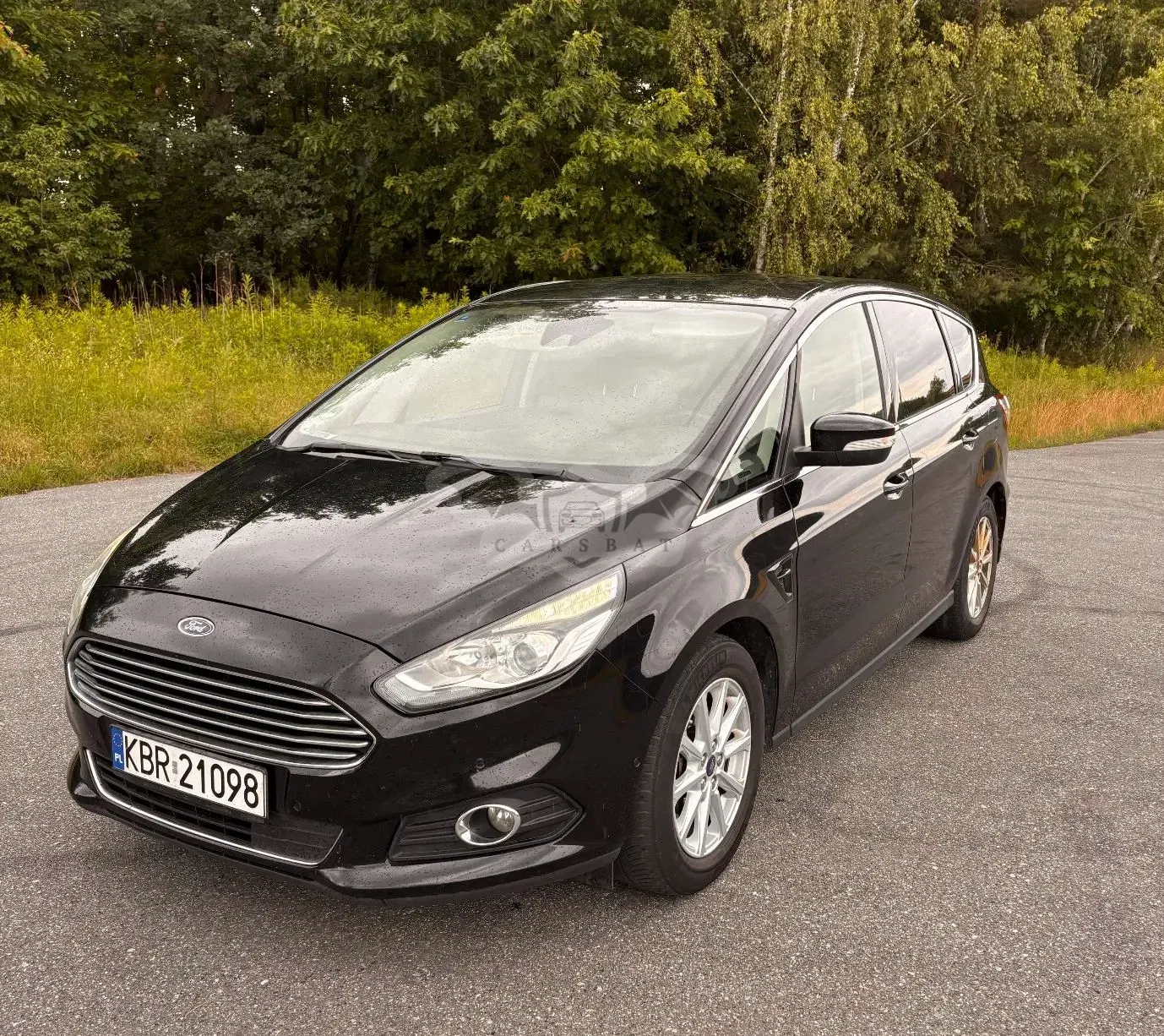 Ford S-Max II (2015-) 2.0 TDCi Titanium PowerShift 2015
