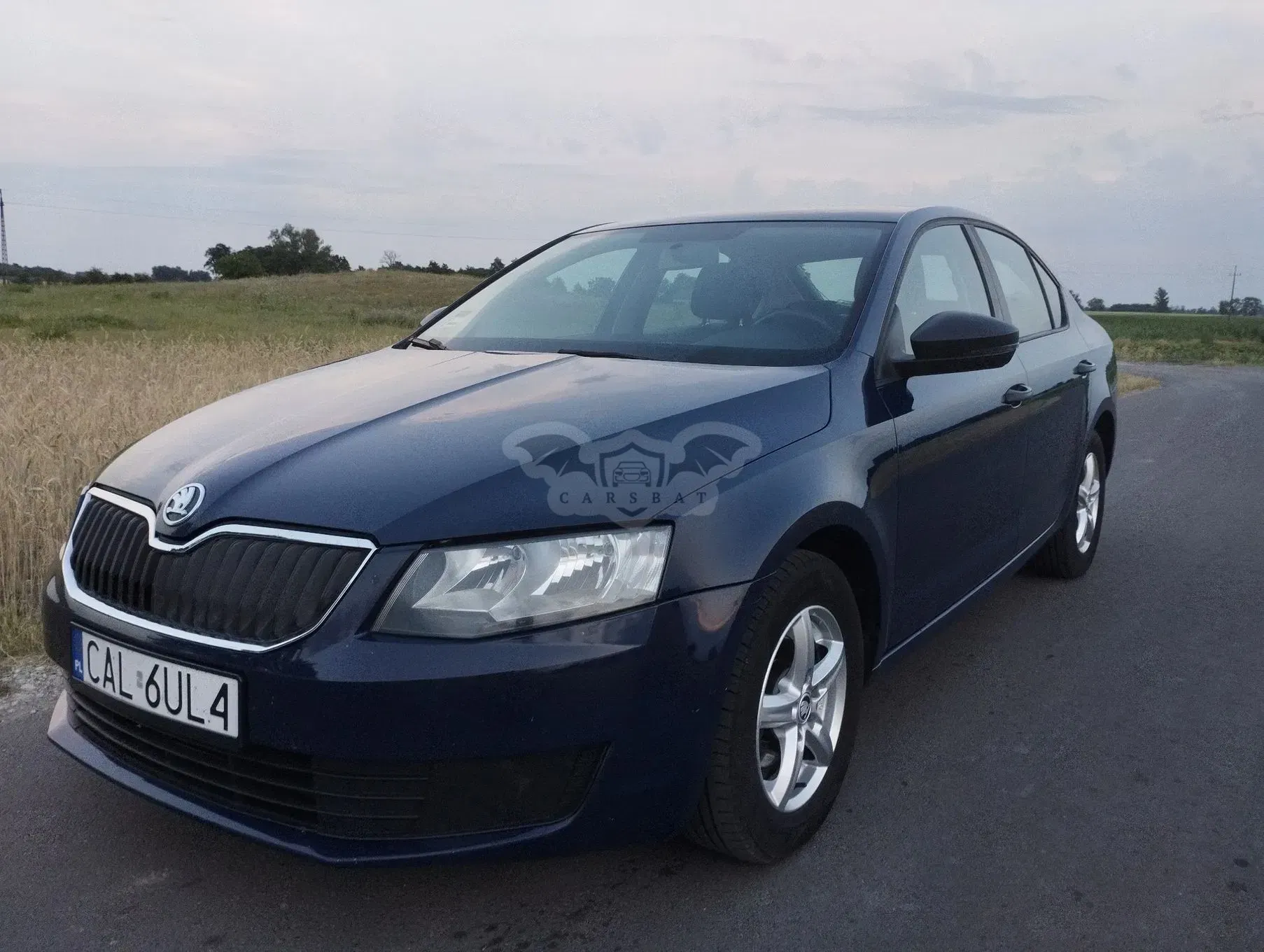 Skoda Octavia III (2013-) 2015