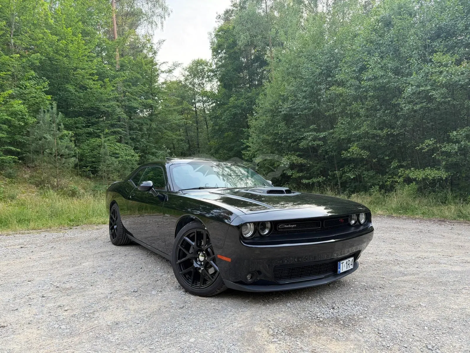 Dodge Challenger Automatik R/T Plus Shaker 2015