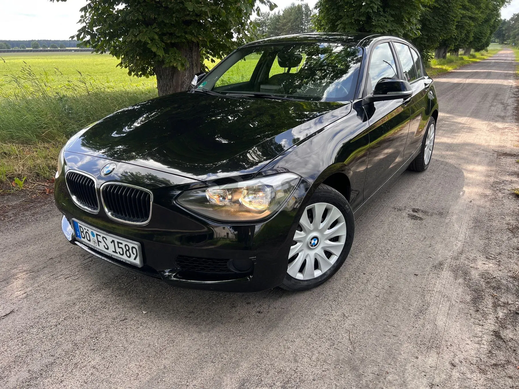BMW 1 Series F20/F21 (2011-2019) 114i 2014