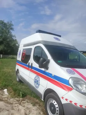 Renault Trafic II (2001-2014) 2014