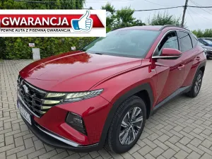 Hyundai Tucson IV (2020-) 2021