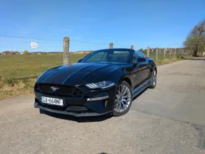 Ford Mustang 5.0 Ti-VCT V8 GT 2019