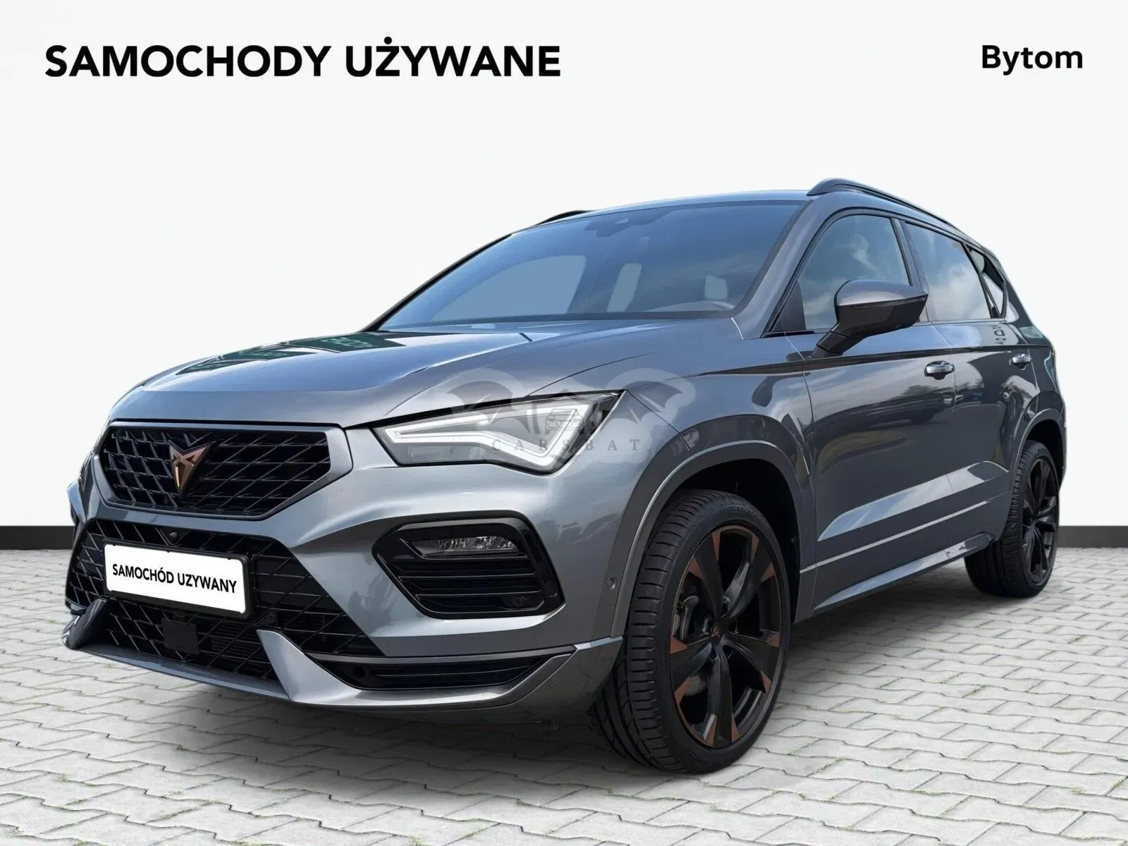 Cupra Ateca 2024