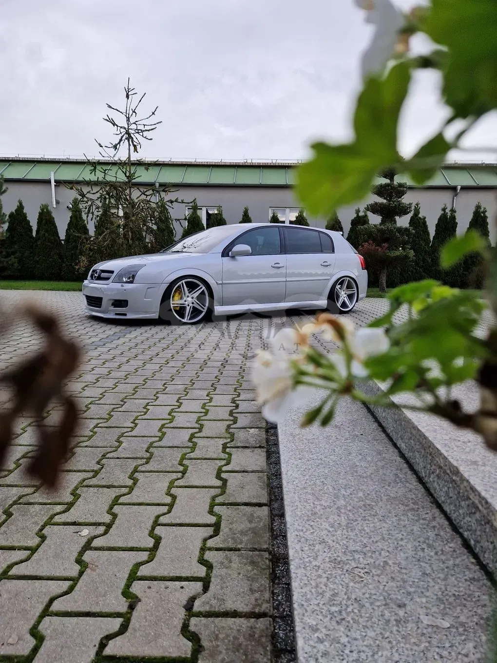 Opel Signum 2.0 T Sport 2005