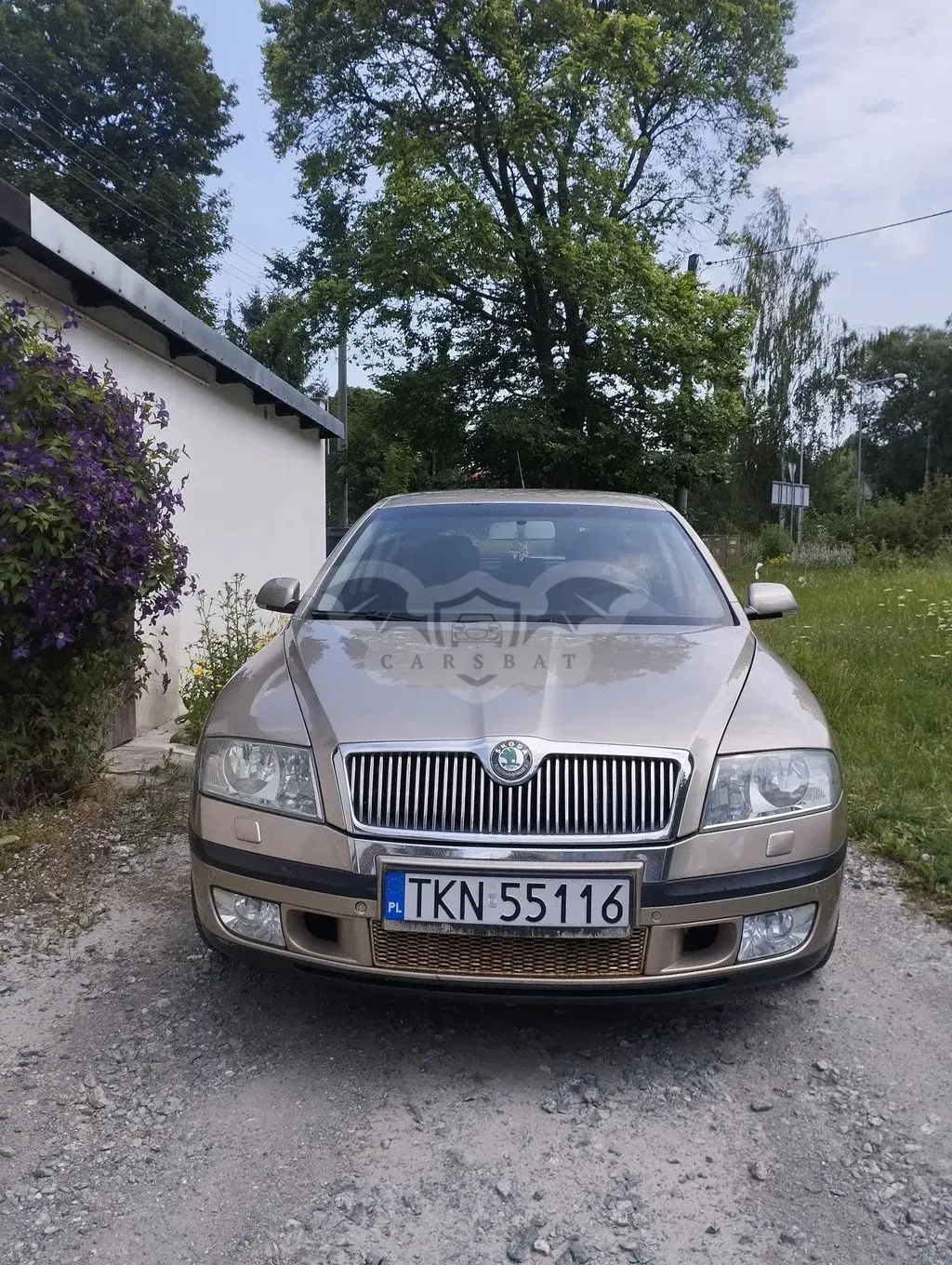 Skoda Octavia II (2004-2013) 1.9 TDI Elegance 2005