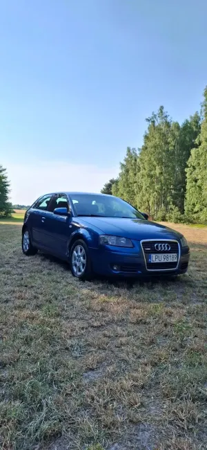 Audi A3 8P (2003-2012) 2.0 TDI Ambition 2006