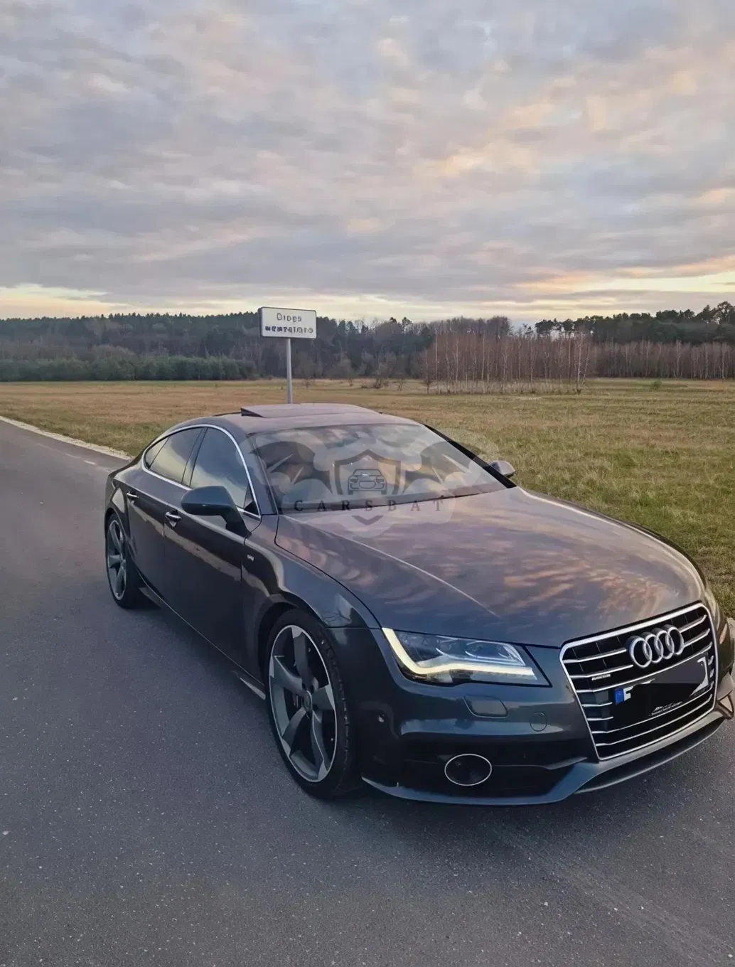 Audi A7 4G8 (2010-2018) 3.0 TDI Quattro Tiptronic 2013