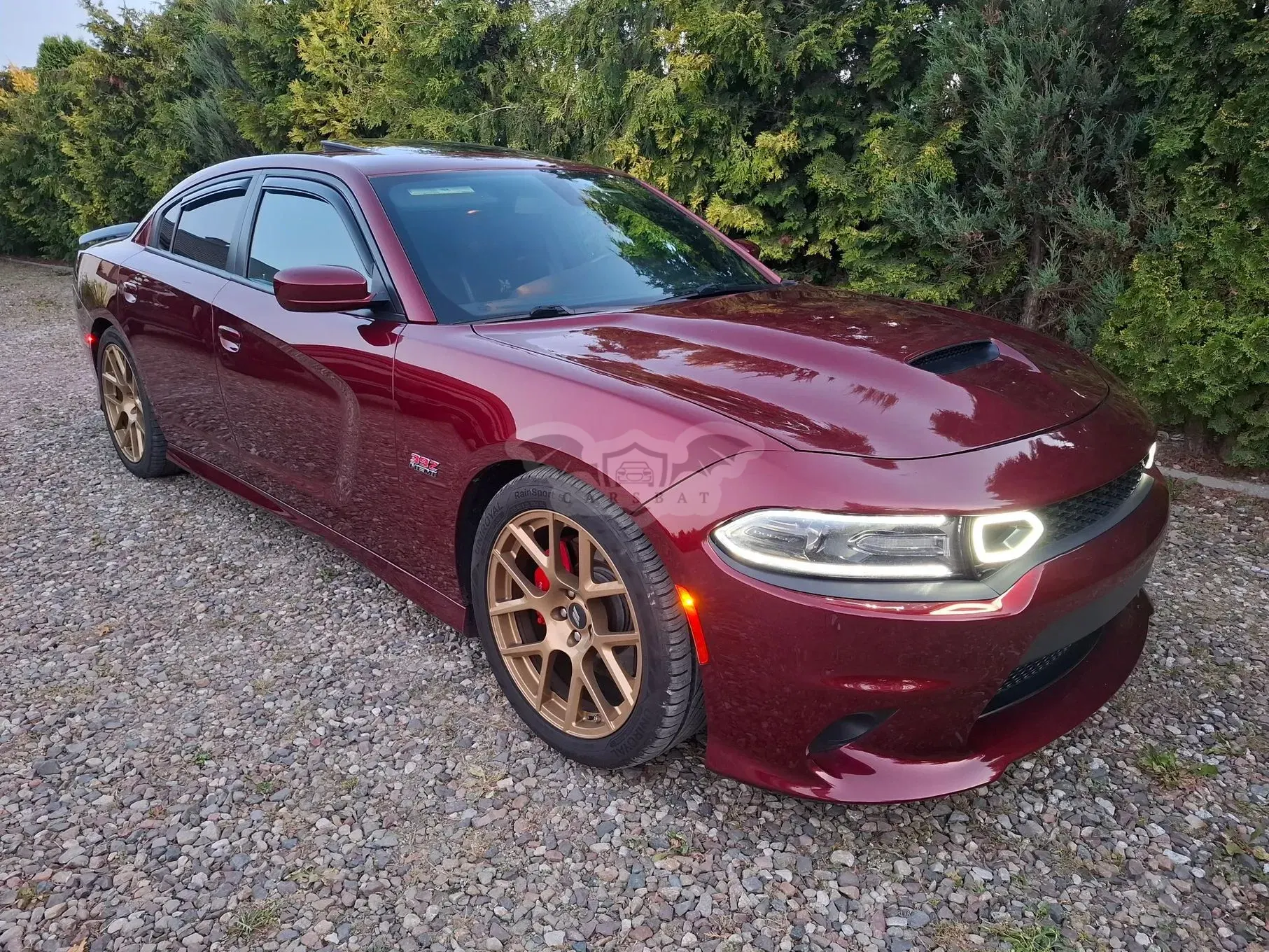 Dodge Charger 2017