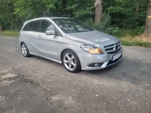 Mercedes-Benz B W246 (2011-2018) 2014