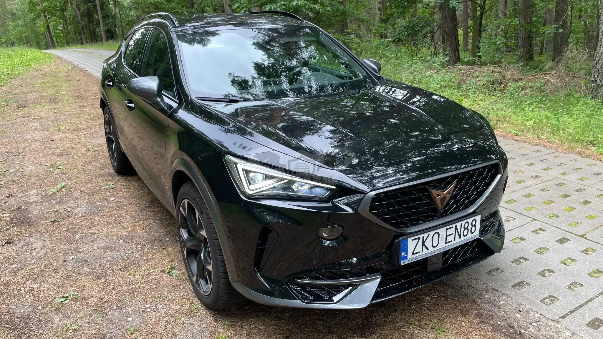 Cupra Formentor 2.0 TSI 4Drive DSG 2023