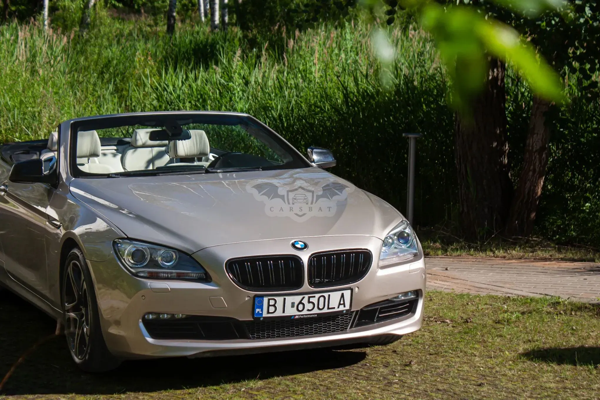 BMW 6 Series F12/F13/F14 (2011-) 650i xDrive 2012