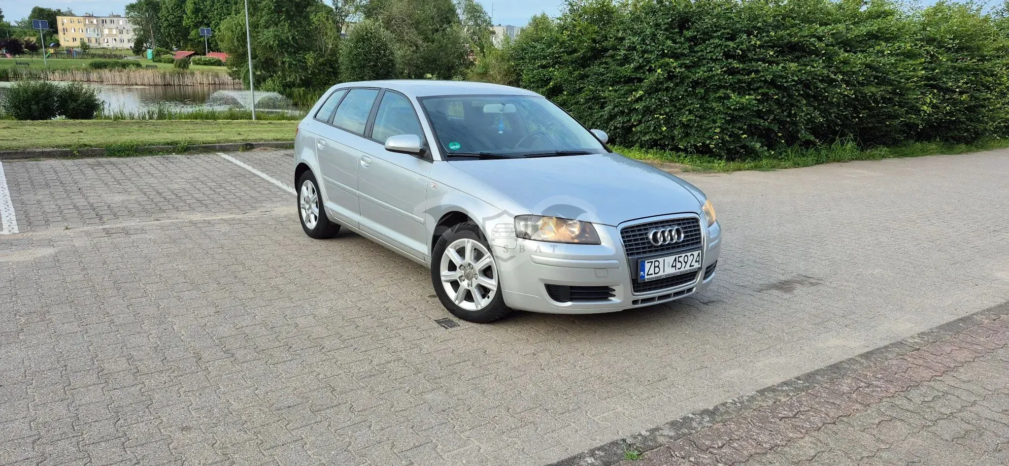 Audi A3 8P (2003-2012) 2006