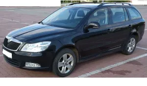 Skoda Octavia II (2004-2013) 1.8 TSI Elegance 2010
