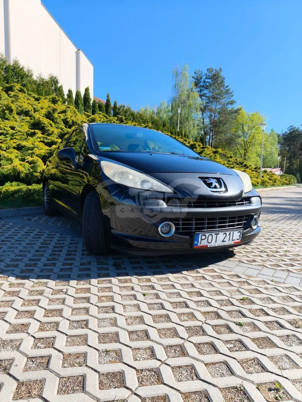 Peugeot 207 110 Sport 2006