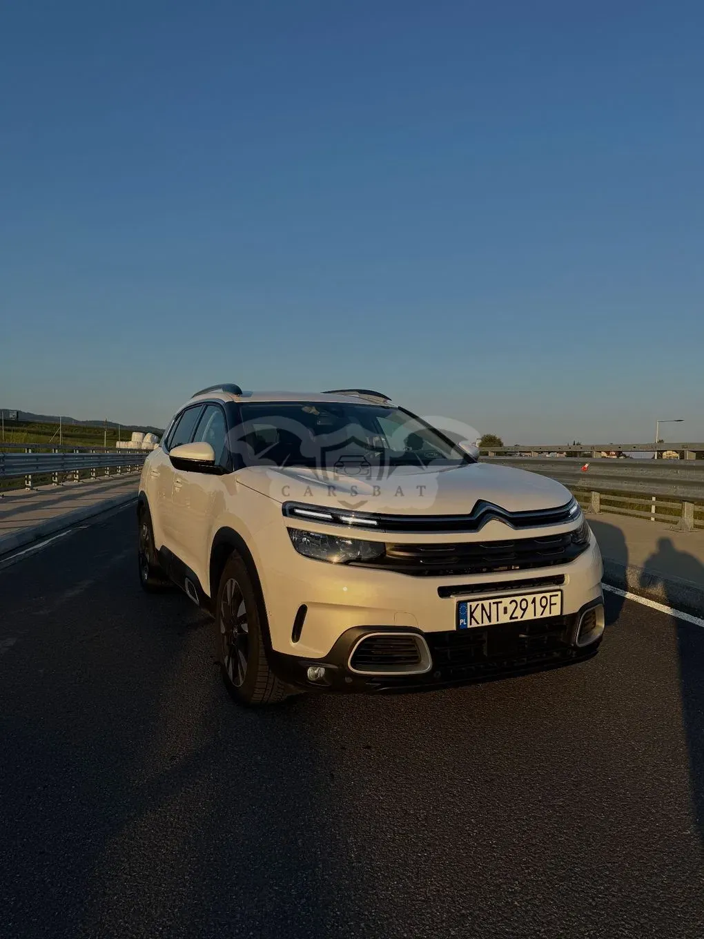 Citroën C5 Aircross 1.5 BlueHDi Shine EAT8 2020