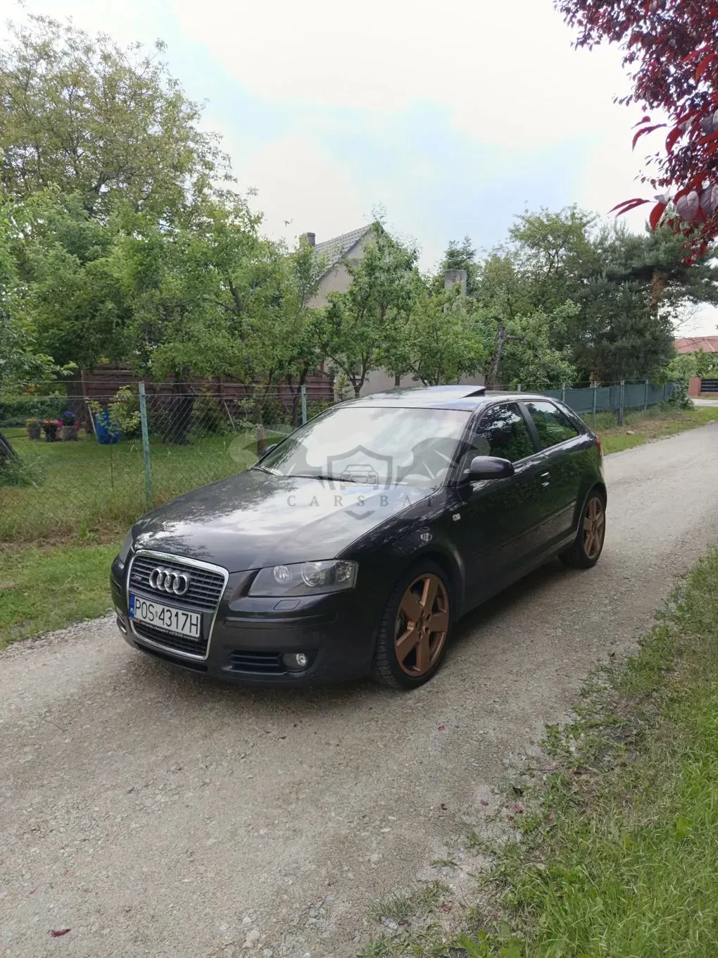 Audi A3 8P (2003-2012) 2.0 TDI DPF Attraction S tronic 2008