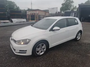Volkswagen Golf VII (2012-2020) 1.6 TDI Trendline 2014