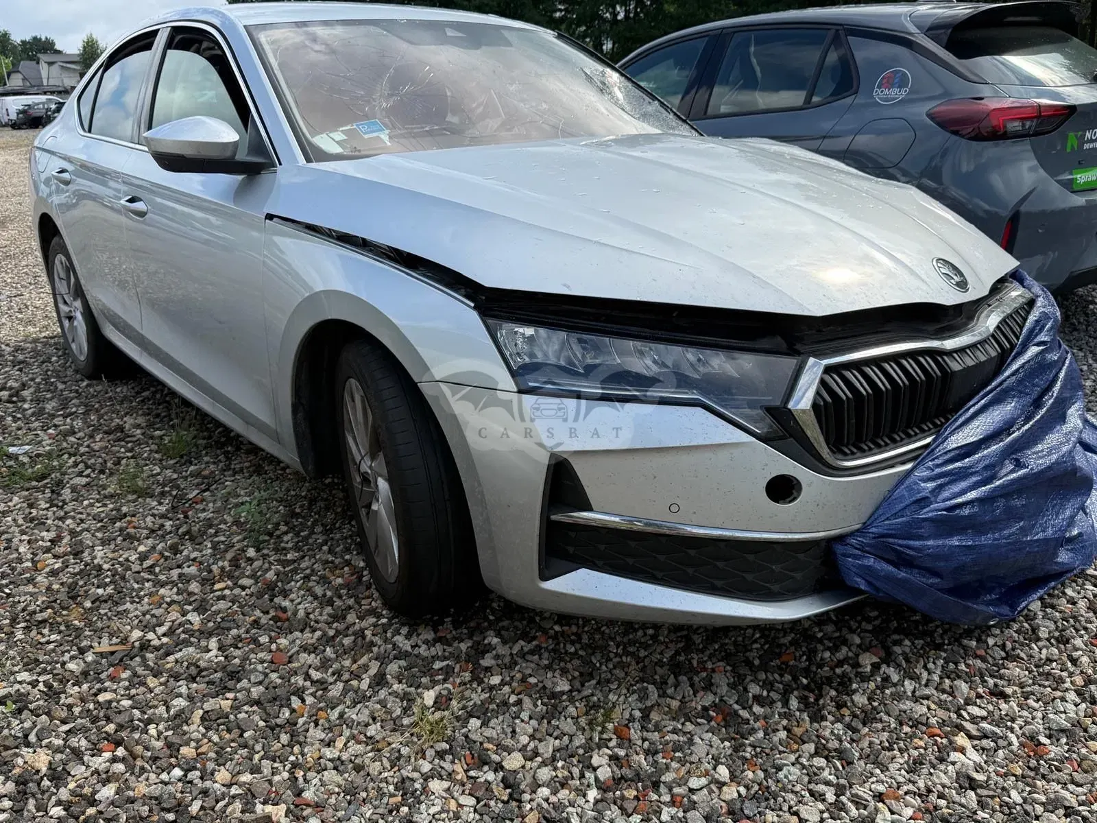 Skoda Octavia IV (2020-) 2.0 TDI Selection DSG 2024