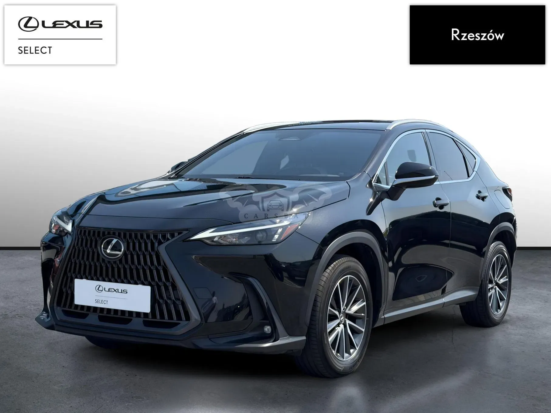 Lexus NX II (2021-) 350h Prestige AWD 2024