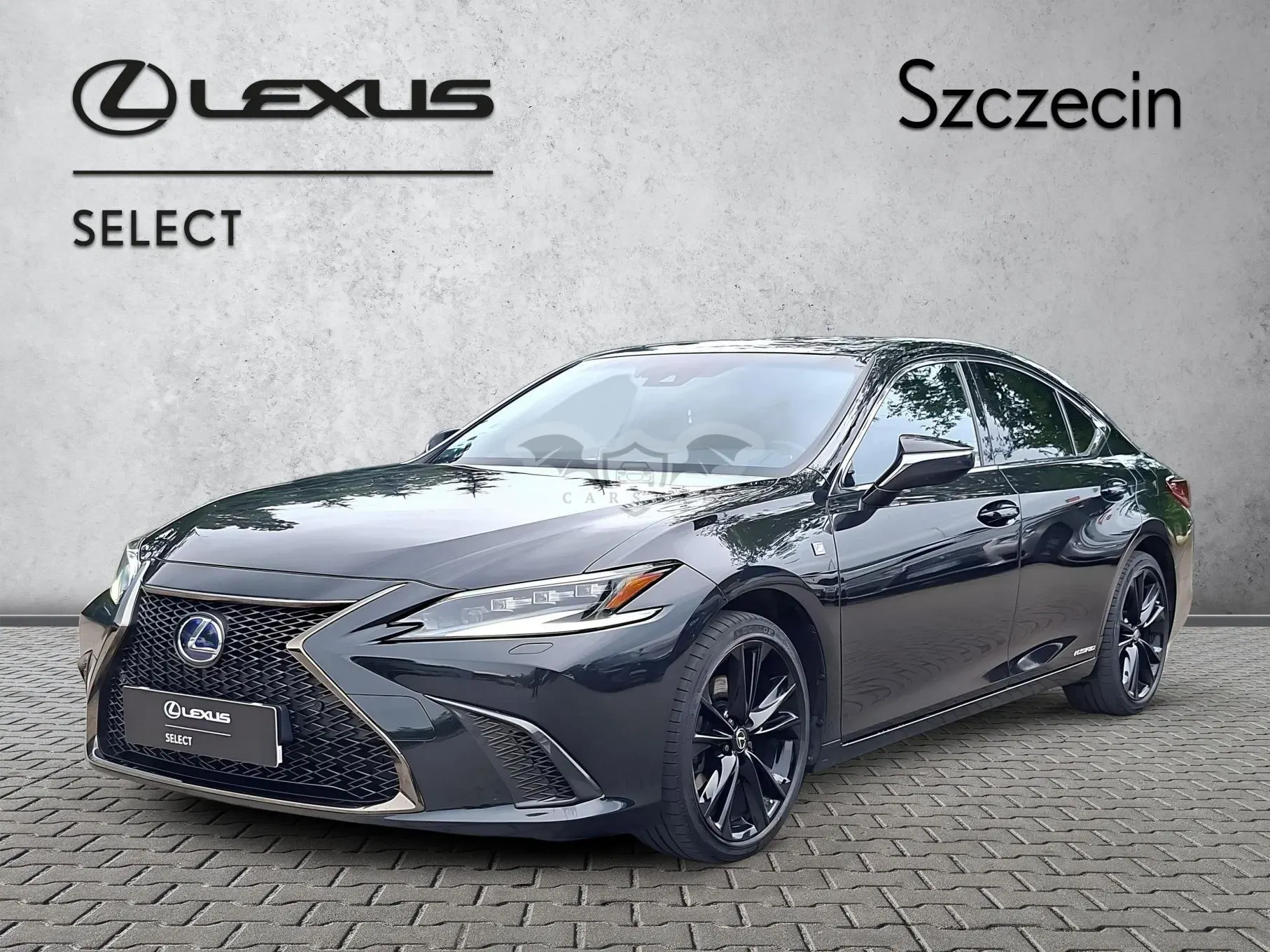 Lexus ES 300h F Sport Edition 2021