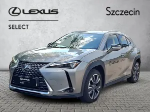 Lexus UX 300h Business 2024