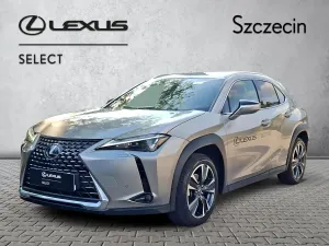 Lexus UX 300h Business 2025