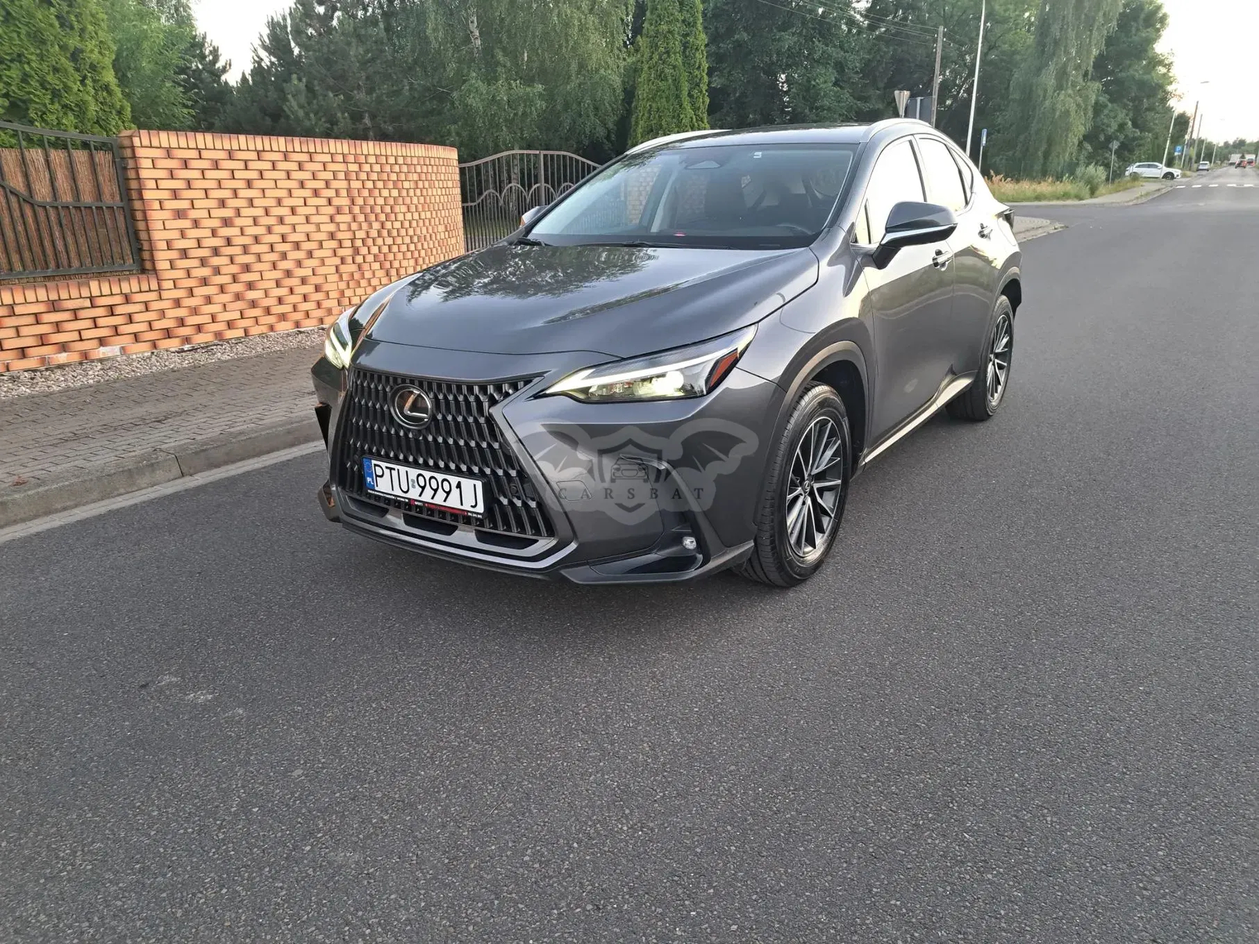 Lexus NX II (2021-) 450h+ E-FOUR Business 2024