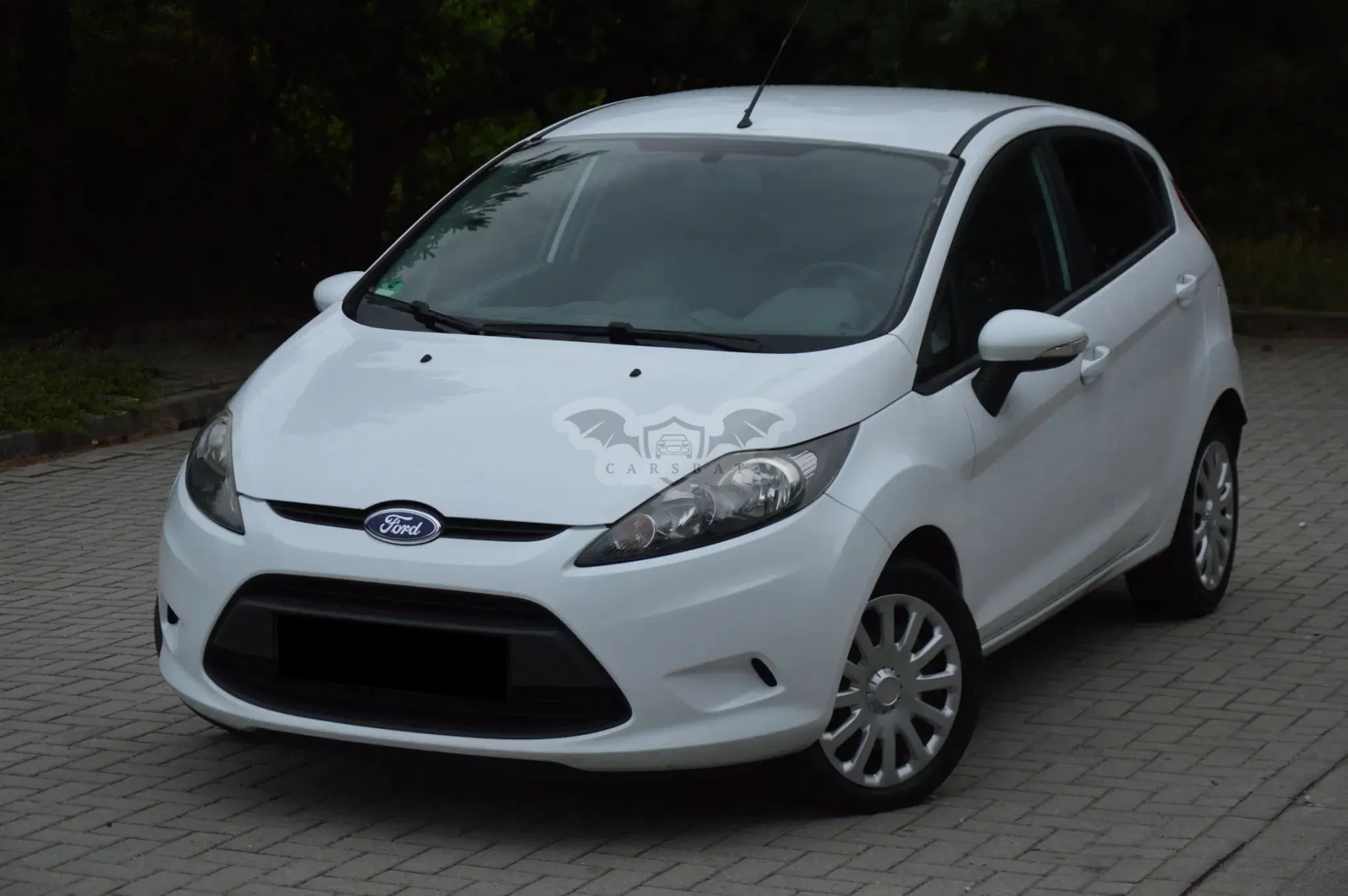 Ford Fiesta Mk7 (2008-) 1.25 Viva 2010