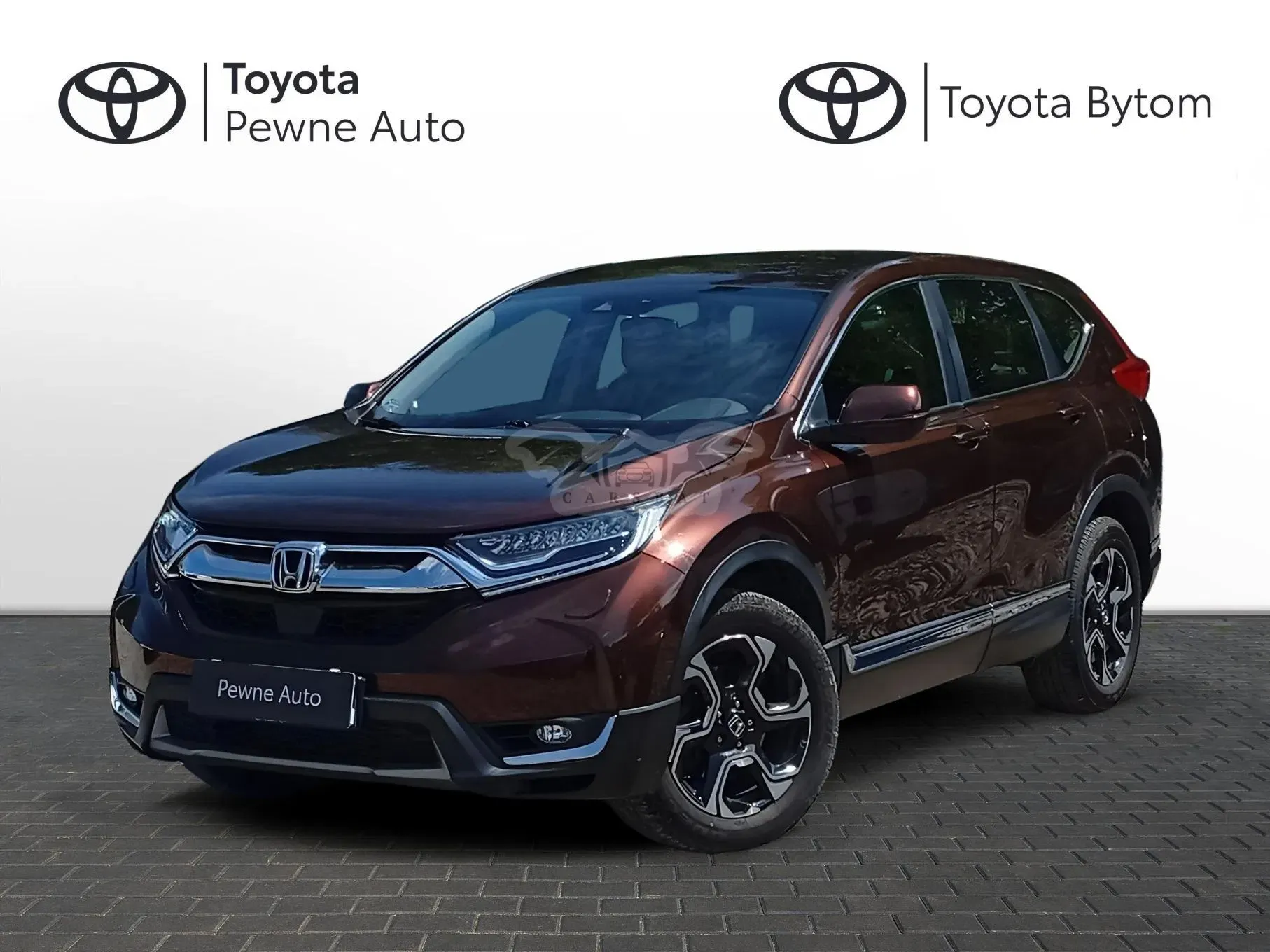 Honda CR-V V (2018-2023) 2019