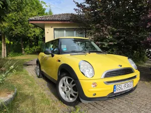 Mini One salt 2003