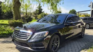 Mercedes-Benz S W222 (2013-2020) 2013