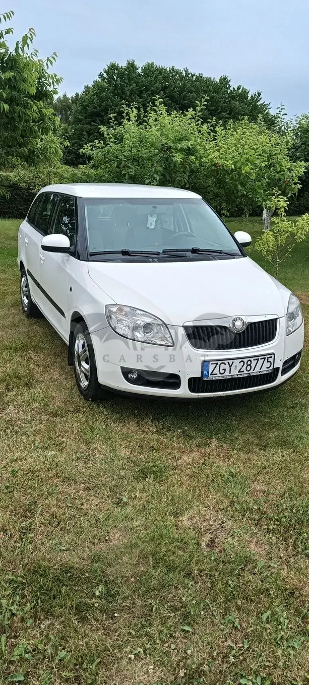 Skoda Fabia II (2007-2014) 1.9 TDI Classic 2008